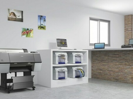 Минифотолаборатория Epson SureLab SL-D700 (C11CD62001CX)