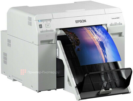 Минифотолаборатория Epson Surelab SL-D800 ML (C11CH75301BE)