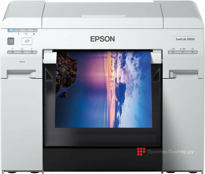 Минифотолаборатория Epson Surelab SL-D800 OC-LE (C11CH75301CL)