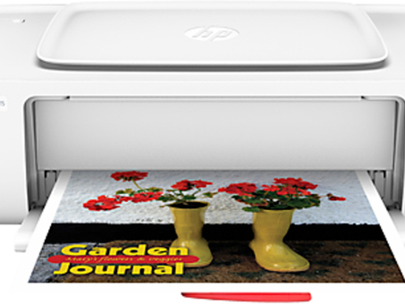 Принтер HP DeskJet Ink Advantage 1115 (F5S21C)