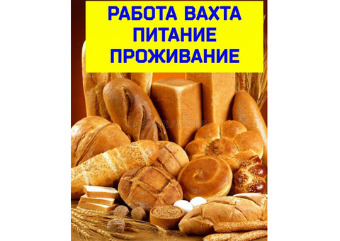 Работа вахта 30/45/60,рабочие на хлебзавод,без опыта,питание,жилье,авансы