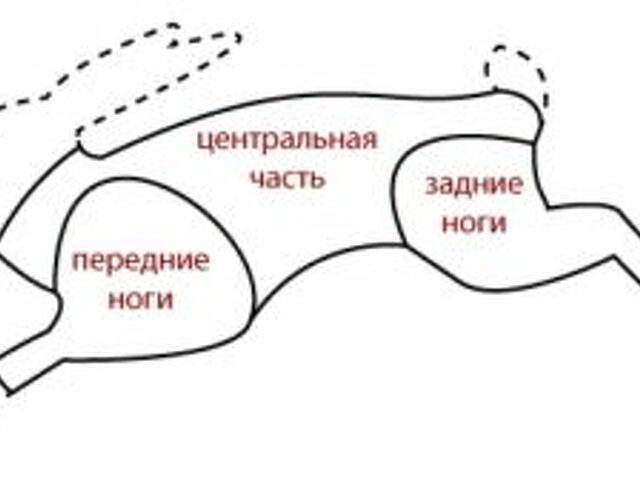 Как разделывать кролика схема