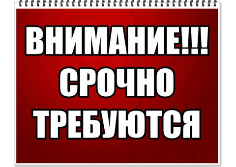 Требуется сотрудники квалификации - менеджер без опыта