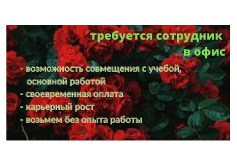 Ассистент/помощник по вопросам кадров