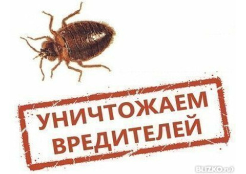 Уничтожение тараканов Красноперекопск, Красногвардейское