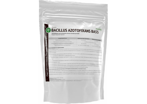 Bacillus azotofixans ВА55 Organic - сухая форма