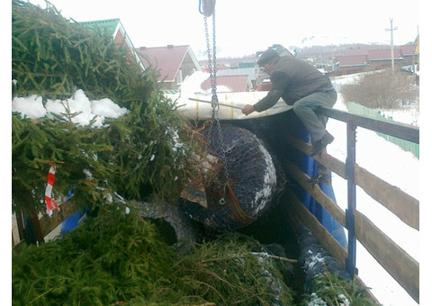 Подготовка сада к зиме.Обрезка сада