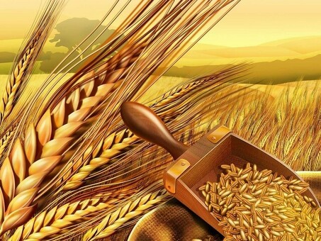 Закупка, хранение и реализацию агрокультур — подсолнечника, ячменя, пшеницы и кукурузы, продуктов переработки с/х сырья и ингредиентов.Прайс лист ооо зернотрейд