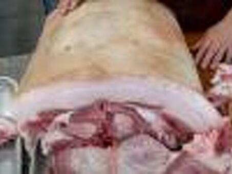 Продам: свинина блочная 80/20 от производителя в Курске и Курской области , свинина блочная .