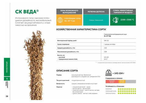 Семена сои сорт СК Веда селекции Компании СОКО