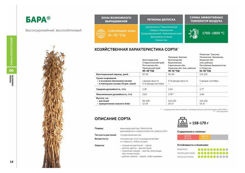 Сорт Бара селекции Компании 'Соевый комплекс'