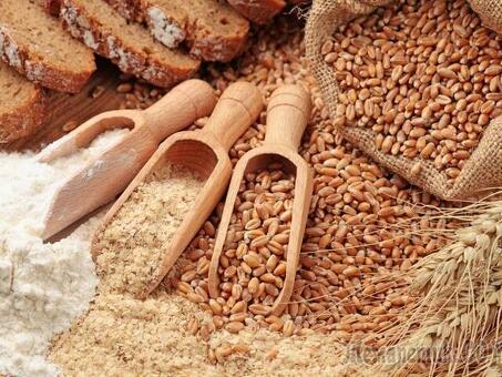 Пшеница при размоле даёт 80% муки. Сколько отрубей получится из 25 мешков пшеничного зерна при. ответ на, сколько весит мешок отрубей .