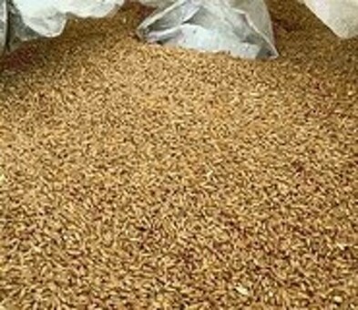 Пшеница продовольственная 1 класс купить по цене 11990 RUR (ID# 2386054) в Москве, пшеница 1 класс купить .