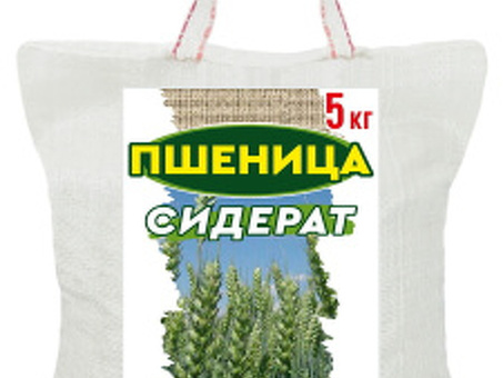 Пшеница фуражная - купить в Ставрополе, в интернет магазине . Большой выбор пшеницы по низким ценам, фуражная пшеница цены ставрополь .