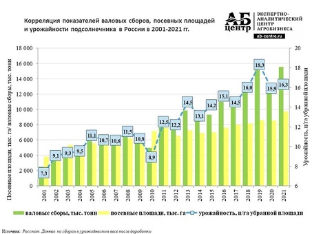 Российский рынок семян подсолнечника и продукты его переработки - основные тенденции и прогнозы - | Сельскохозяйственные предприятия, подсолнечник в россии .