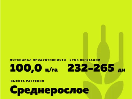 Рубеж - ячмень Зима. Характеристика. и отзывы , семена озимая ячмень рубеж .