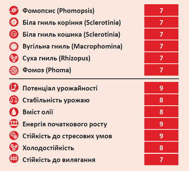 СУМО / ЭКСПРЕСС - технология выращивание подсолнечника в Украине на 2023 |agroexpertrade, семена подсолнечника под экспресс .