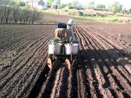 Сажалка ручная для чеснока : описание лучших моделей , как сделать своими руками , посадка мотоблоком с видео , техника для возделывания чеснока .