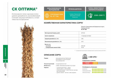 Семена сои сорт СК Оптима селекции СОКО