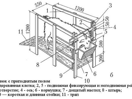 Сарай для коз: устройство внутри , как построить своими руками , доильный зал для коз.