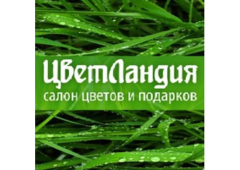 Доставка цветов. Заказать цветы в Челябинске. Купить букет роз с доставкой