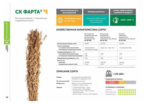 Сорт сои СК Фарта селекции 'Соевый комплекс'