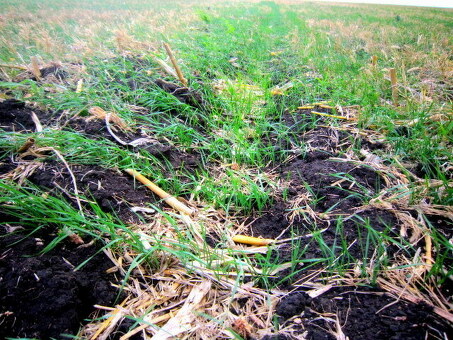 Сеялка зерновая G-230, сеялка джерарди g 230 2.