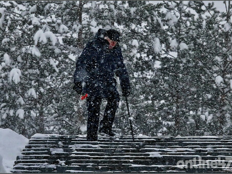 Природа России: Федеральный закон 