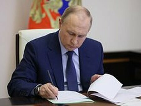 Президент Путин подписал указ о создании платформы 