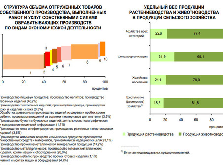 Россия и мировая экономика: итоги за первое полугодие и второй квартал 2022 года, результаты социально-экономического развития.