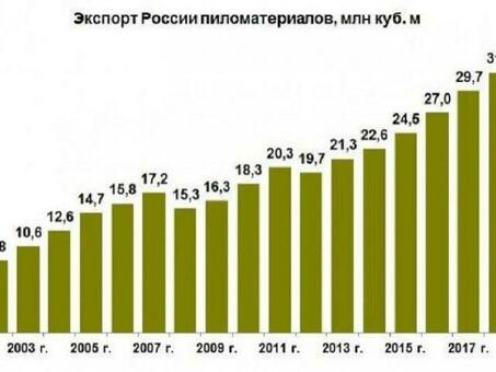 Рыночные цены на лиственные породы: узнайте сегодняшние цены на древесину