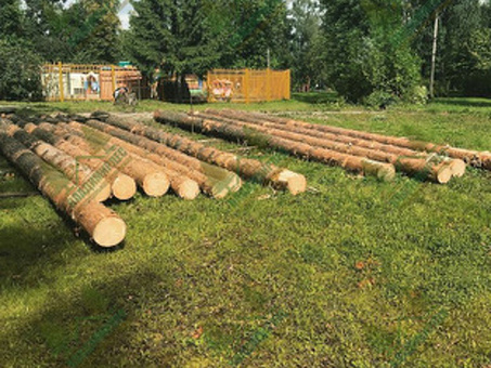 Цена 150 кубических метров древесины: Факторы, влияющие на стоимость