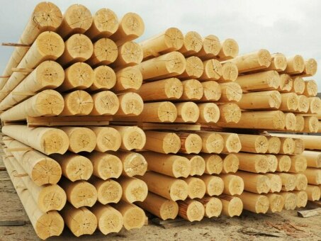 25 кубических метров леса: Важность устойчивой лесозаготовки