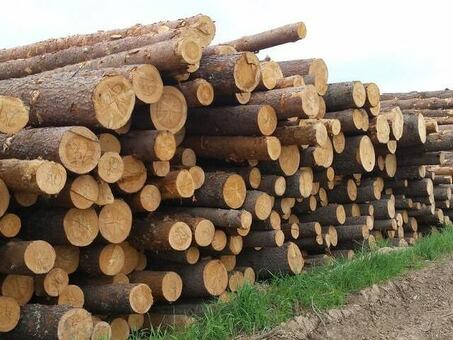 30 кубических метров древесины: все, что нужно знать