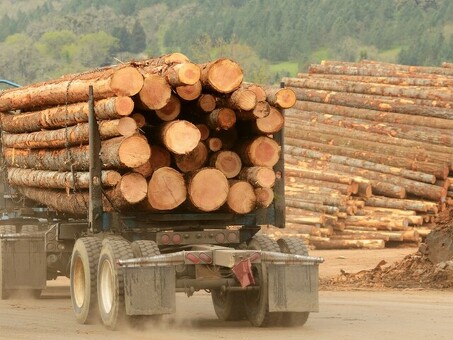 Цена за кубический метр лесоматериалов в 2021 году: как заготовить древесину для получения прибыли