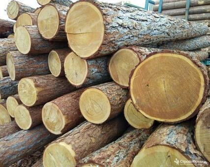 Купить древесину оптом: Важные советы по закупке древесины