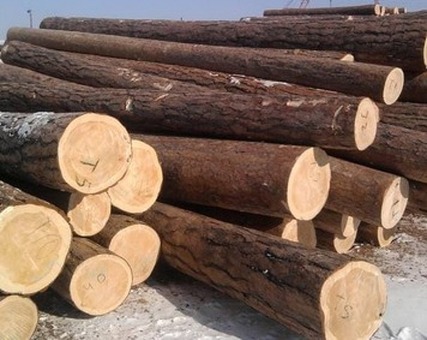 Купить Деловая древесина с доставкой: Найдите лучшие предложения прямо сейчас