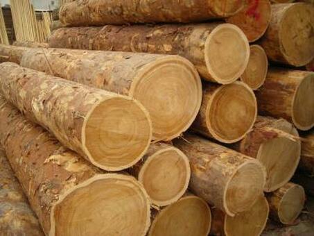 Купить коммерческую древесину: Советы и рекомендации