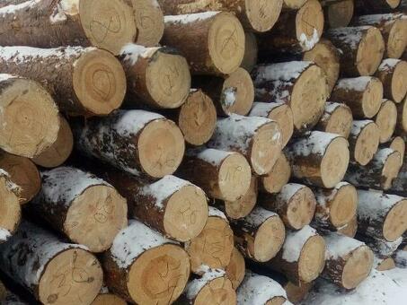 Купить Круглые лесоматериалы: Советы и рекомендации