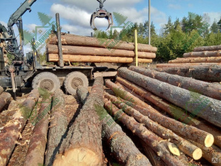 Купить сосновые бревна в Москве - высококачественная продукция по доступным ценам