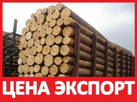 Купить лес в Москве: Цена за кубический метр