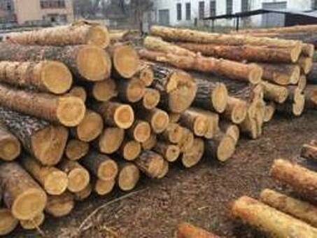 Купить древесину: Цены и варианты
