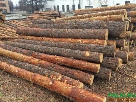 Купить пиломатериалы хвойных пород в Московской области: Лучшие предложения и качественная древесина