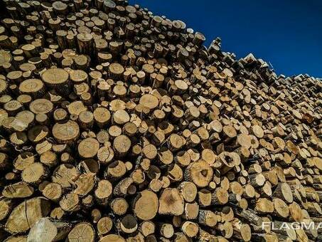 Купить древесину: Советы по приобретению качественной древесины
