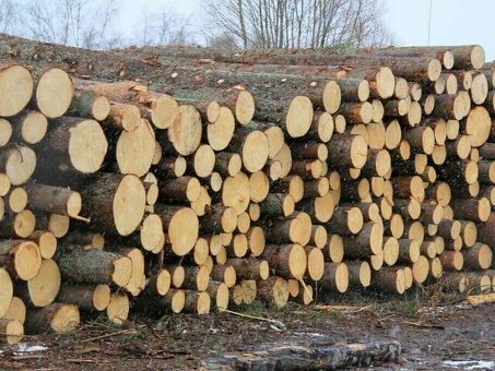 Купить лесные материалы в Москве - лучшие предложения и гарантированное качество