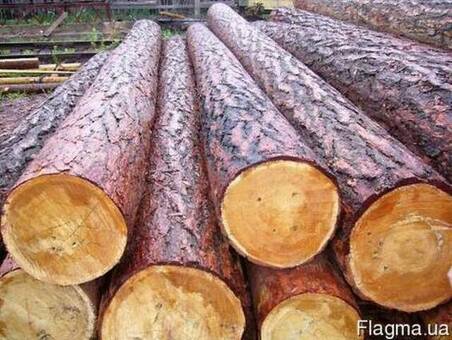 Продажа соснового круглого леса: Ваше руководство по поиску высококачественной древесины