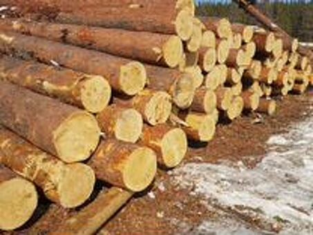Продайте свои сосновые пиломатериалы сегодня - получите максимальную цену за вашу древесину