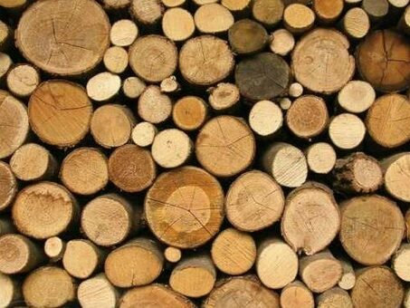 Стоимость куба коммерческой древесины: Цены и факторы, которые следует учитывать