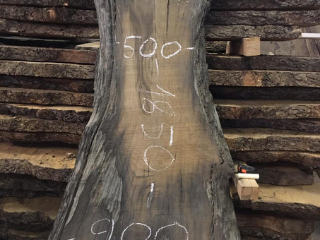 Какова стоимость кубического метра древесины дуба?