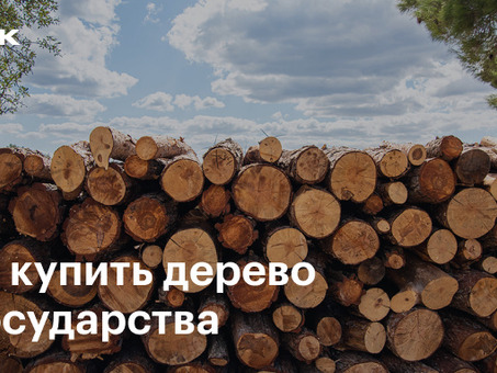 Цены на лес в Москве - Сколько стоит купить лес?
